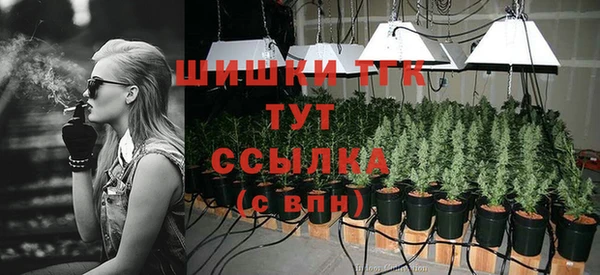 Альфа ПВП Аркадак