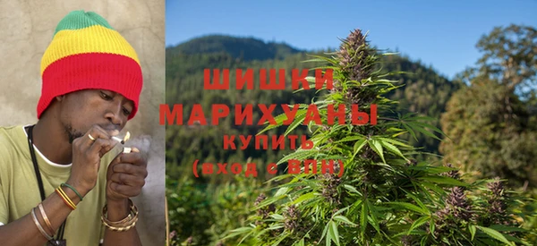 дмт Арсеньев