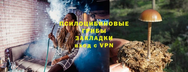 дмт Арсеньев