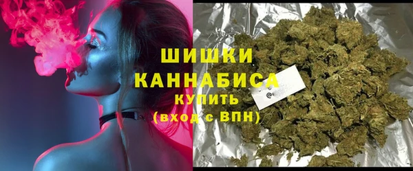 дмт Арсеньев