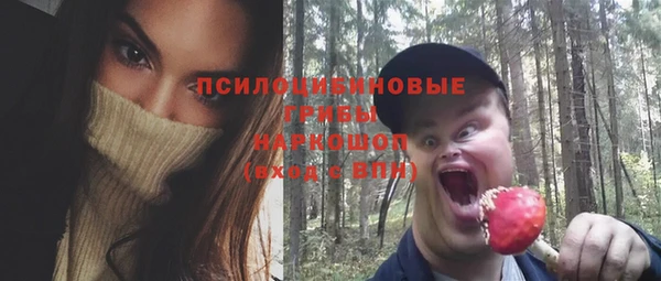 Альфа ПВП Аркадак