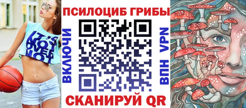 Псилоцибиновые грибы Cubensis  цены наркотик  Белозерск 